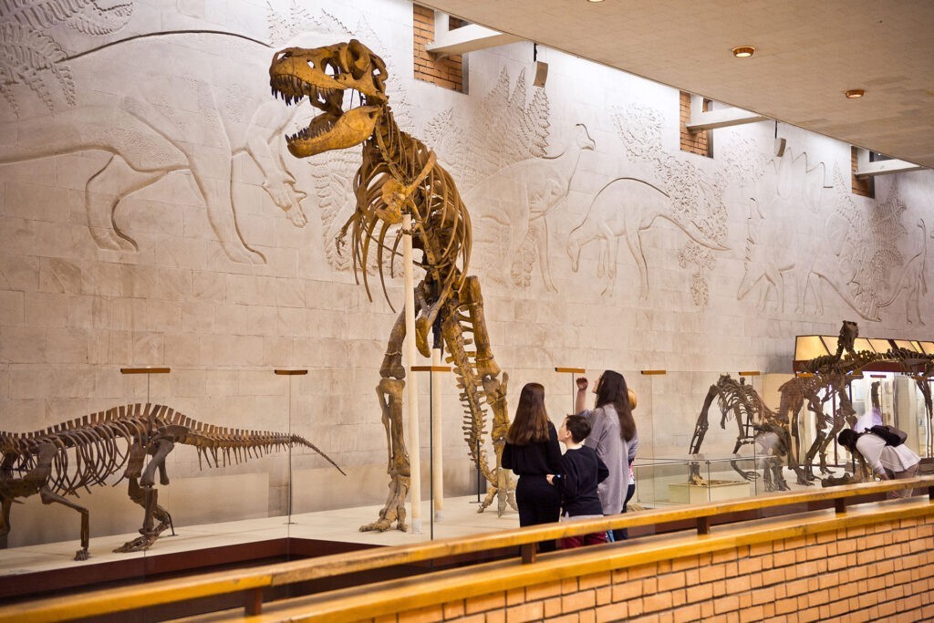 Smart Imaging Integration Solution for Museums: An Innovative Solution to Overcome Distance Limitations